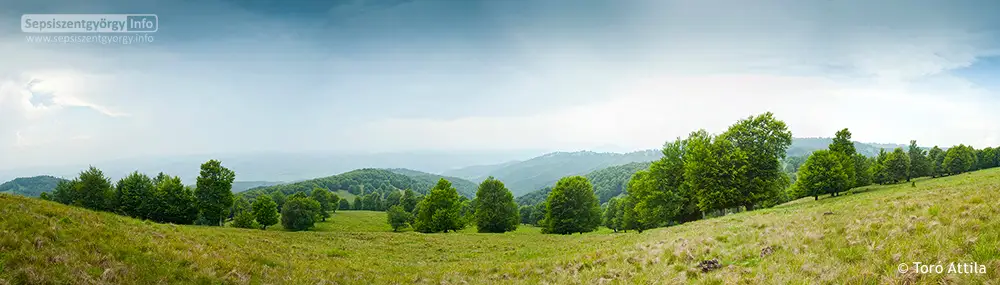 Nyári panoráma a Bodoki-tető közeléből Nyári panoráma a Bodoki-hegységből